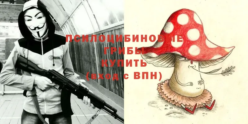 площадка клад  Тарко-Сале  Галлюциногенные грибы Psilocybe 